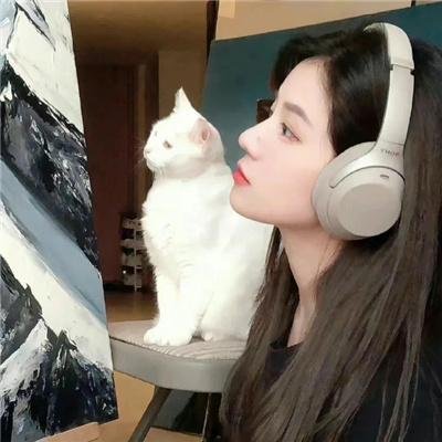 我的同居小仙